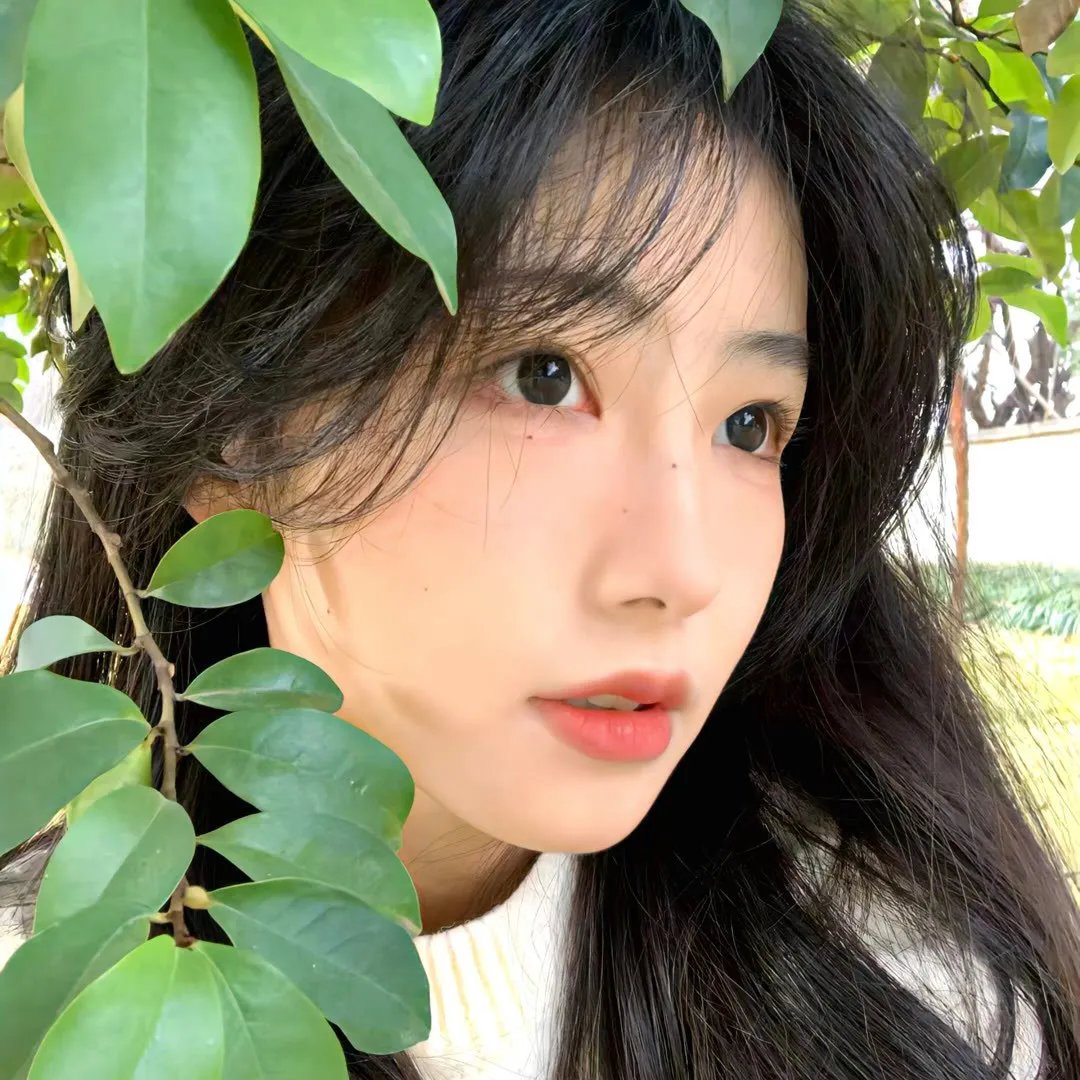 追爱家族